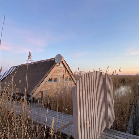 Seehuette Neusiedlersee - Pfahlbau Waterfront 1 Rust Dış mekan fotoğraf