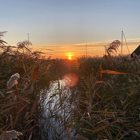 Seehuette Neusiedlersee - Pfahlbau Waterfront 1 Rust Dış mekan fotoğraf