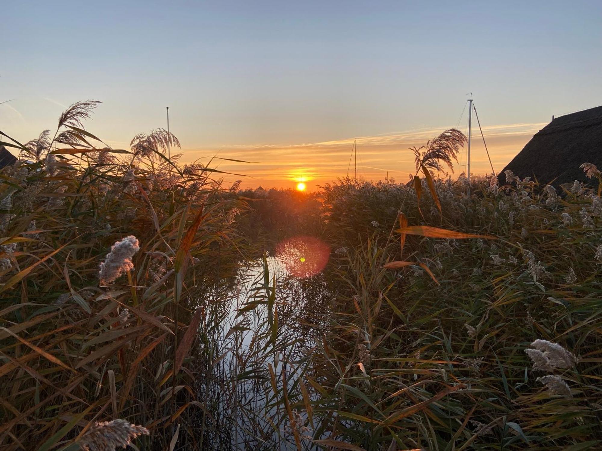 Seehuette Neusiedlersee - Pfahlbau Waterfront 1 Rust Dış mekan fotoğraf